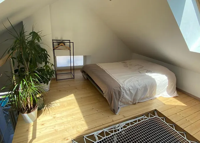 Centre Superbe Appt 6 Personnes Avec Terrasse Classe 3 Etoiles La Bresse